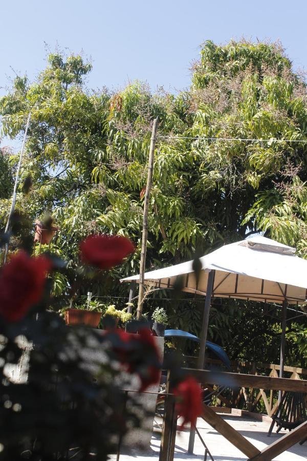 La Casa Del Jardin Bed and Breakfast Tuxtla Gutiérrez Δωμάτιο φωτογραφία
